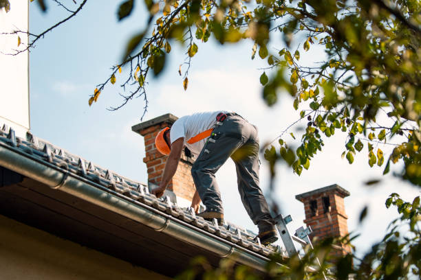 Best New Roof Installation  in Warrensville Heights, OH