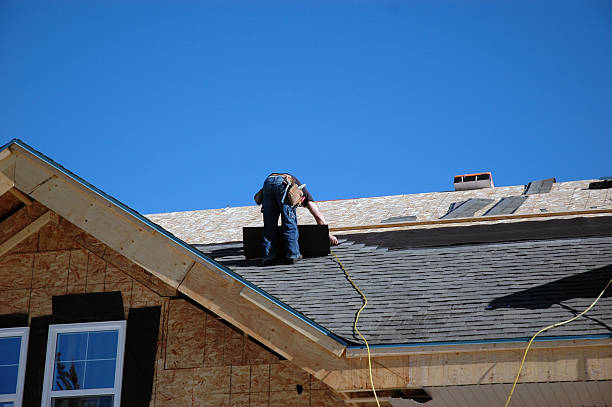Best Storm Damage Roof Repair  in Warrensville Heights, OH