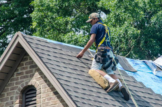 Best Local Roofing Companies  in Warrensville Heights, OH
